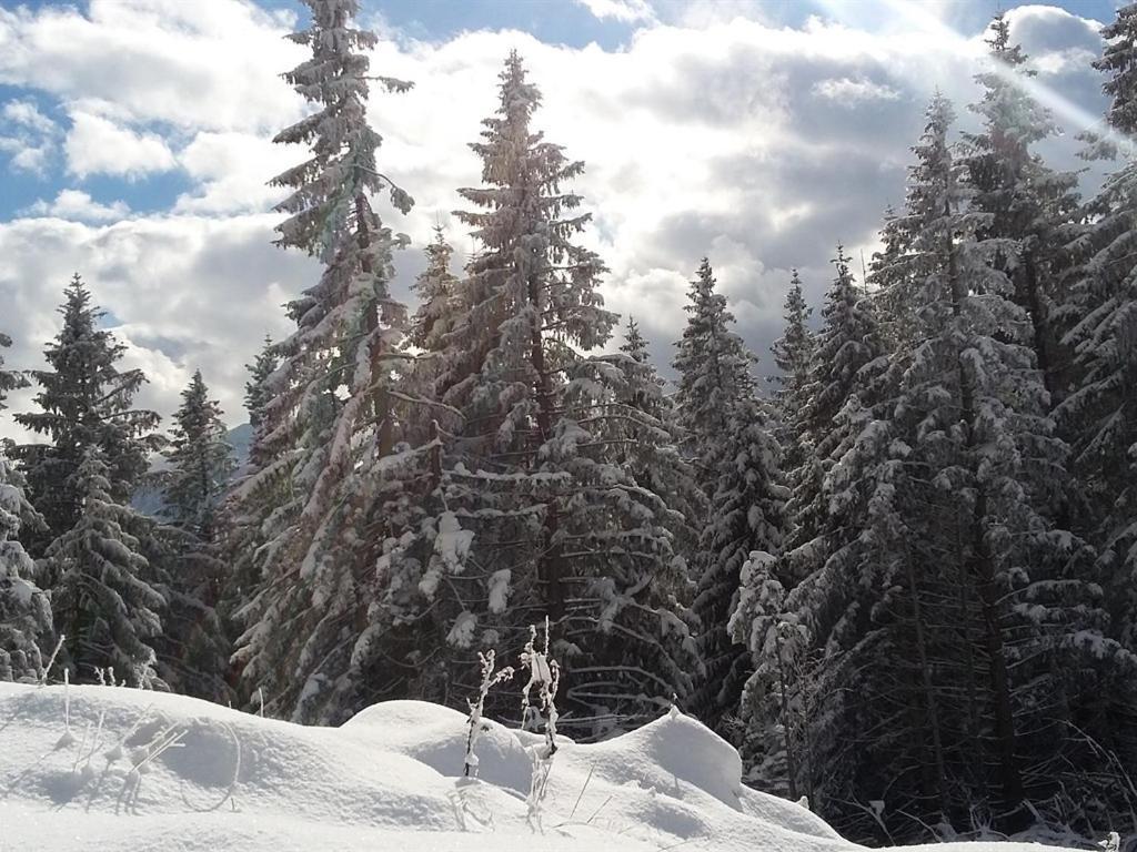 Hotel Und Kirchberger 3*